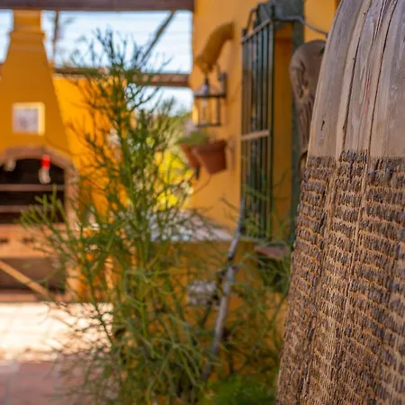 Hanami Cumbres Borrascosas * Estepona