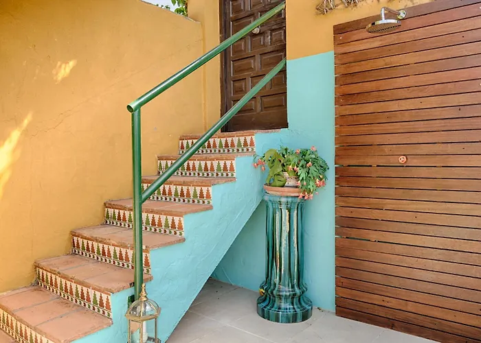 Hanami Cumbres Borrascosas Estepona