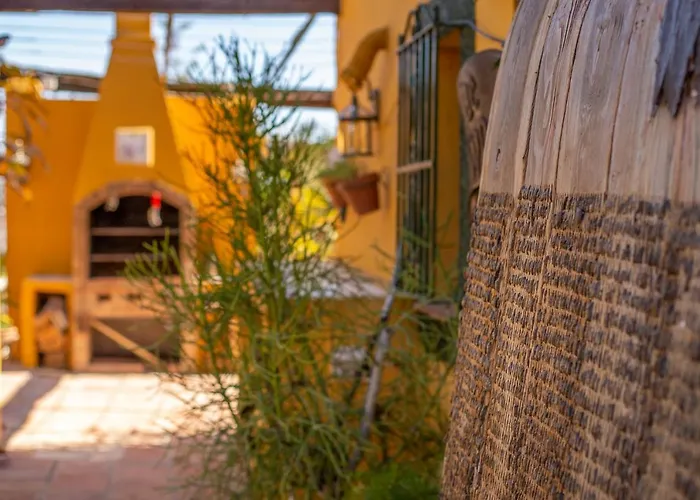 Hanami Cumbres Borrascosas * Estepona