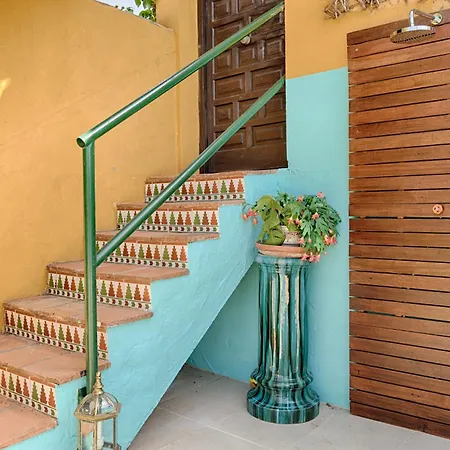 Hanami Cumbres Borrascosas Estepona