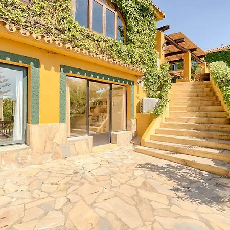 Hanami Cumbres Borrascosas