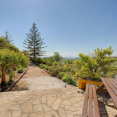 Hanami Cumbres Borrascosas