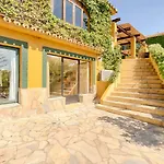 Hanami Cumbres Borrascosas