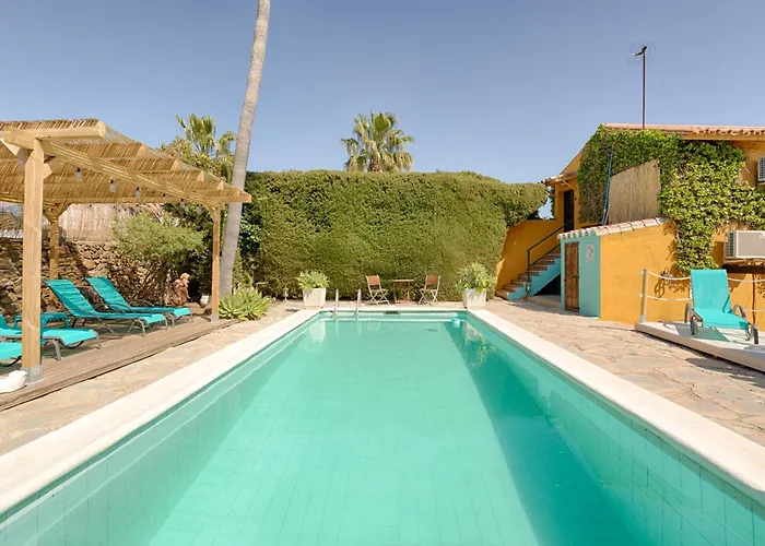 Hanami Cumbres Borrascosas