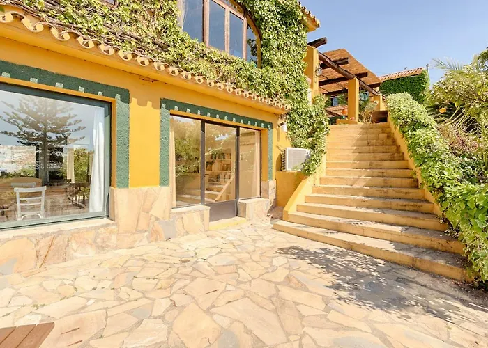 Hanami Cumbres Borrascosas